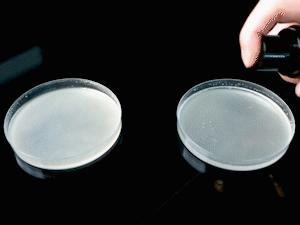 臭脚臭鞋袜不再尴尬，随身带瓶杀菌除味喷雾，轻轻一喷异味尽除