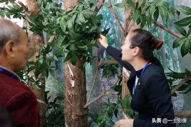 越南芒街下龙河内,越南芒街到下龙大巴