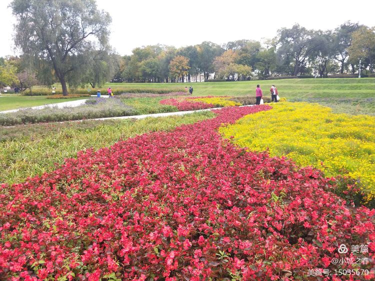 哈尔滨素描俱乐部,哈尔滨素描画室