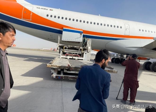 中国大量进口阿富汗松子,阿富汗松子中国有吗