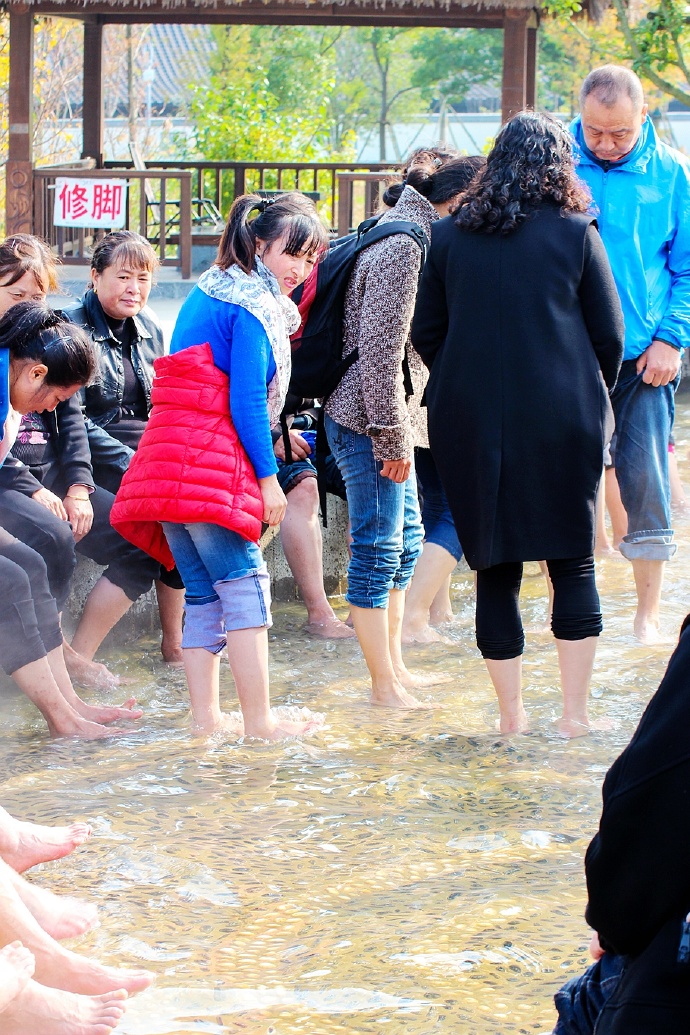 汤山温泉度假好去处,汤山有免费温泉泡脚吗