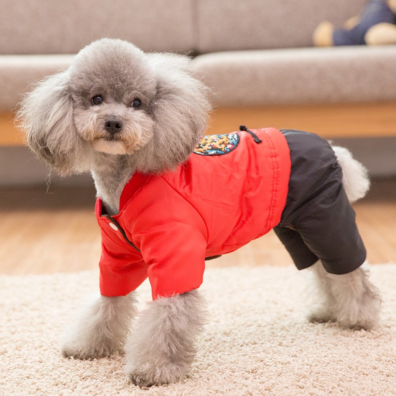 什么狗便宜又好养100元左右,什么狗又便宜又可爱而且很听话