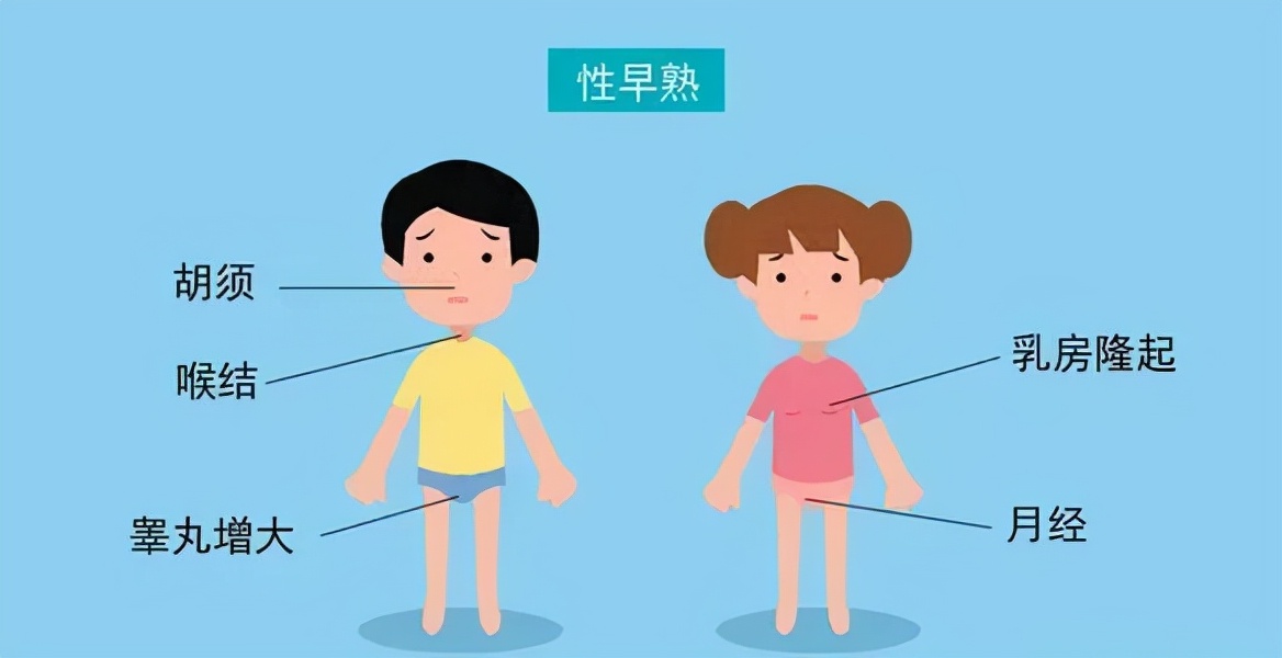 女童早熟中药调理有效果吗,女童早熟喝中成药有效吗