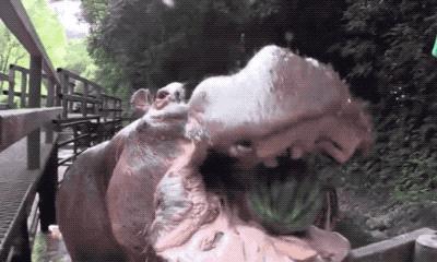 大家都在用什么解压方法,一个很神奇的解压方式