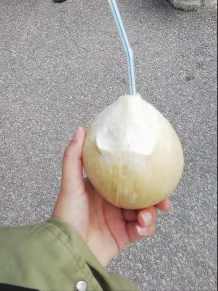 海南热带印象椰子果肉,海南水果椰子怎么吃