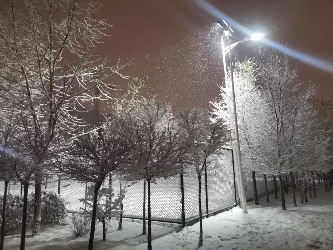 辽宁中医药大学杏林学院规模,辽宁中医学院杏林学院的排名