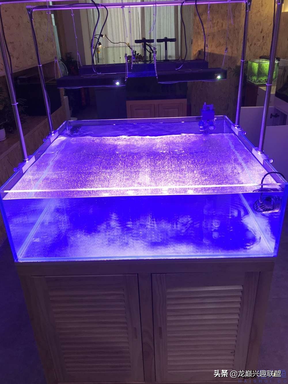 从零开始玩海缸的方法,从零开始玩海缸全过程
