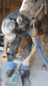 爆笑gif妹子你都拖大家的后腿了,搞笑gif妹子绝对是一位运动健将