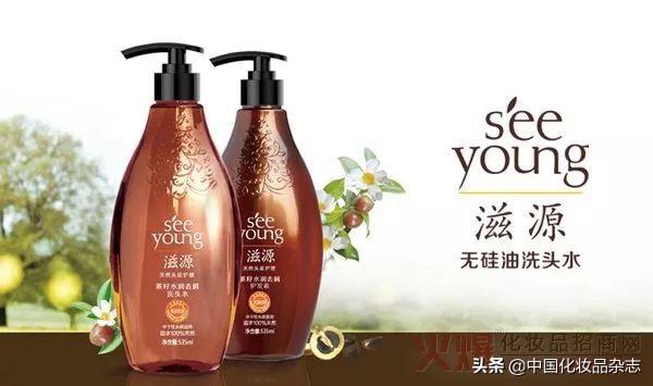 打破洗护市场格局,高端洗护产品市场现状