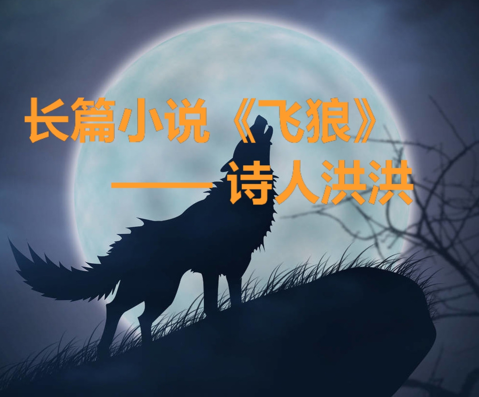 飞狼电视剧第一季,飞狼小说全集