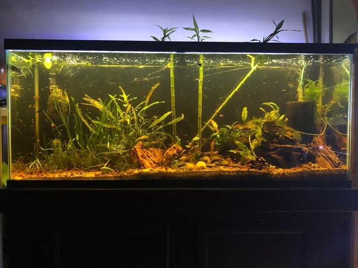 欧洲捡奢侈品垃圾有什么用,国外奢侈品店门口捡垃圾有什么用