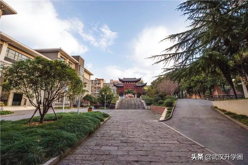中国十大名校武汉有几所,武汉最难进的12所学校