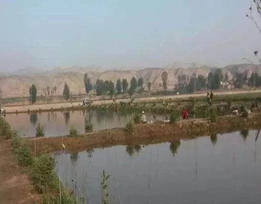 农村人致富门路有哪些,农村养殖种植与三农创业致富项目