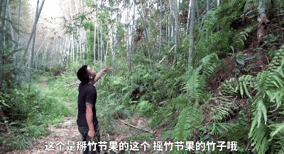 短视频一般拍什么涨粉快,拍什么短视频涨粉快