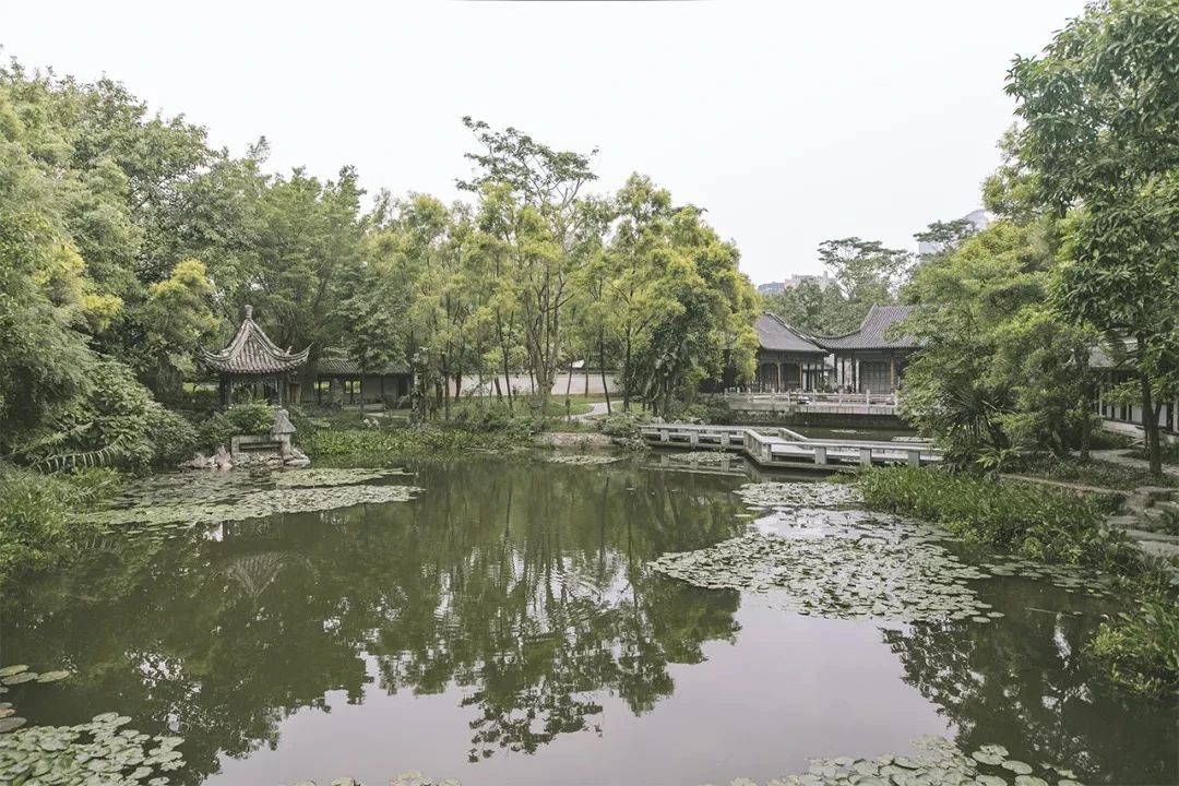 深圳周末带孩子免费游玩好去处,2021深圳免费适合遛娃玩地方排名