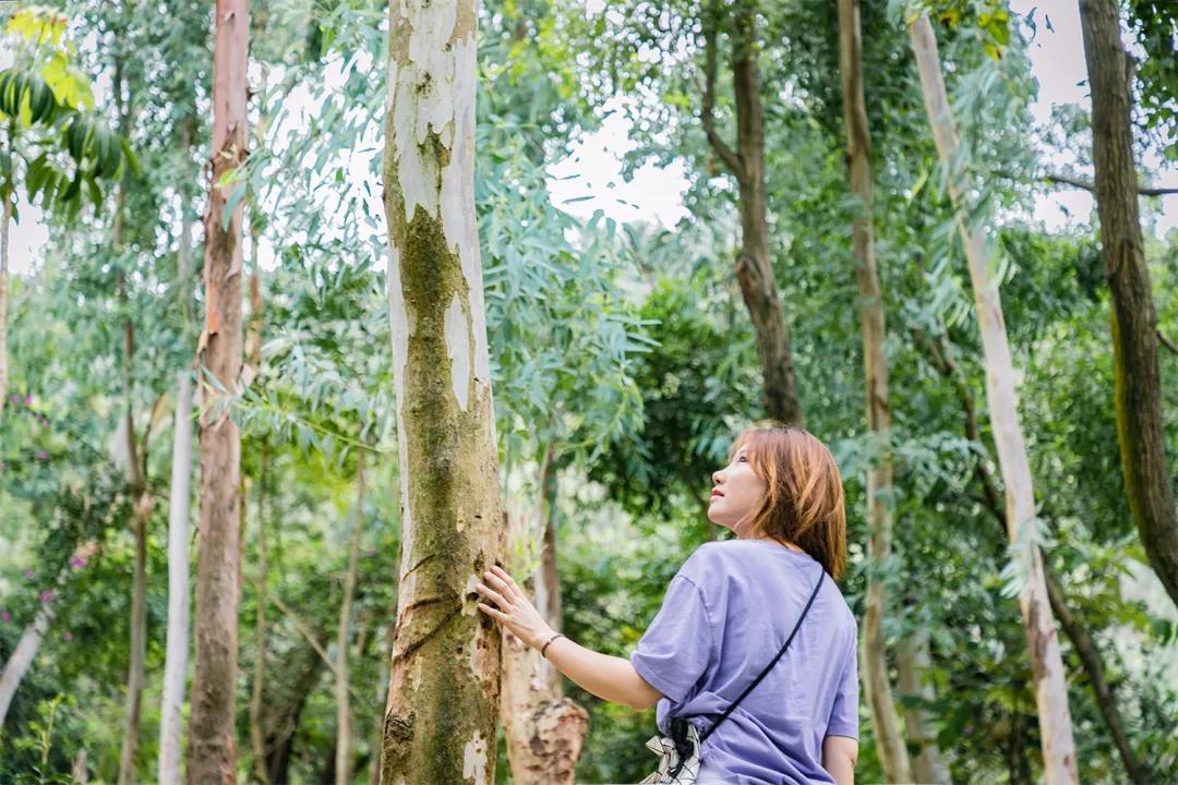 深圳值得去的地标,深圳值得去的景点排行榜