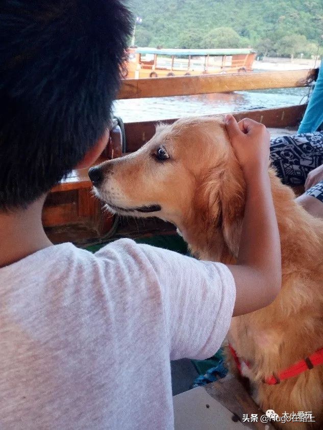 香港亲子游图文攻略图片大全,去香港亲子旅行攻略路线图片