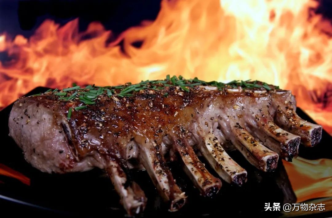 烤肉为什么香,烤肉香是什么原理