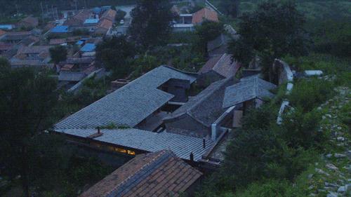 这才叫生活！山中3年他建了一个漂亮小院，活的比年轻人还酷！