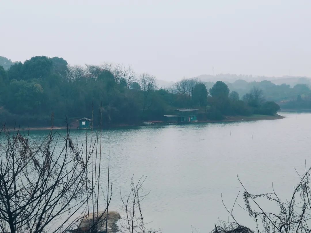 武汉大学教授唐诗宋词,武大教授讲唐诗