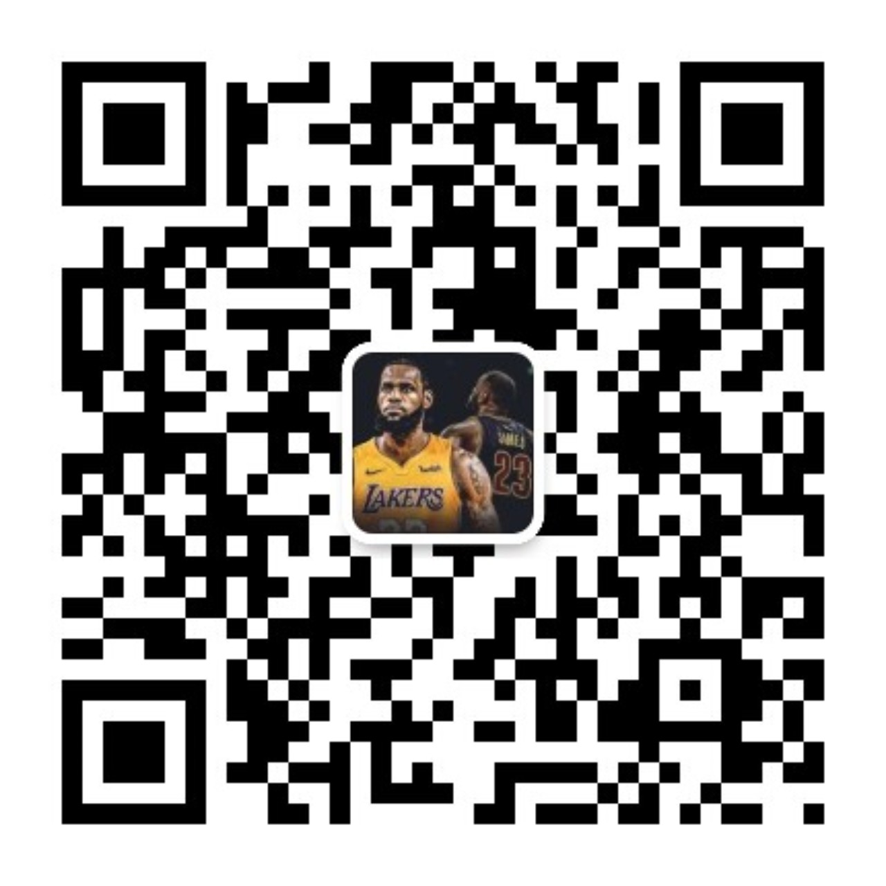 詹皇个人简历,詹皇简历