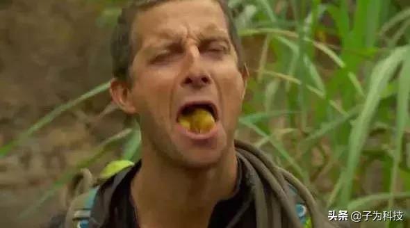 在国外卖皮蛋和咸鸭蛋被抓？歪果警方：不适合人类食用…