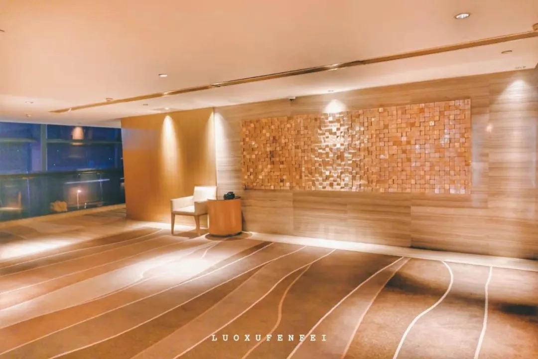 玩完南京去哪里玩景点推荐,南京钟山风景区秋天一日游攻略