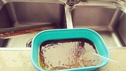 在家里有蟑螂怎样消除蟑螂,家里有蟑螂用什么方法不伤害蟑螂