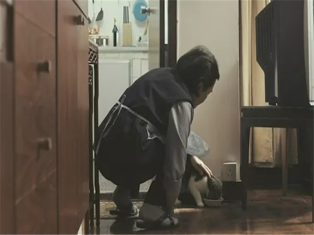 《桃姐》无情年代里八婆式主仆情,寡淡故事中流淌着生活的全部