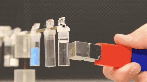 用磁铁吸出血液,用磁铁吸物品实验