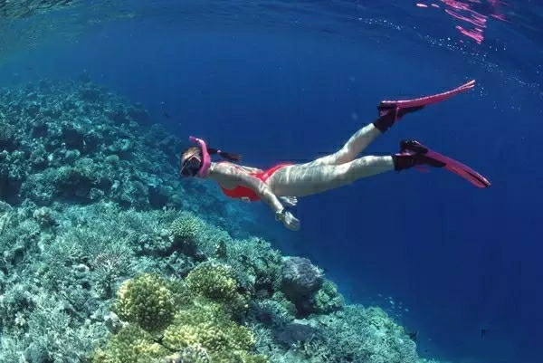 海南临高鬼岛视频,海南无人岛吓人吗