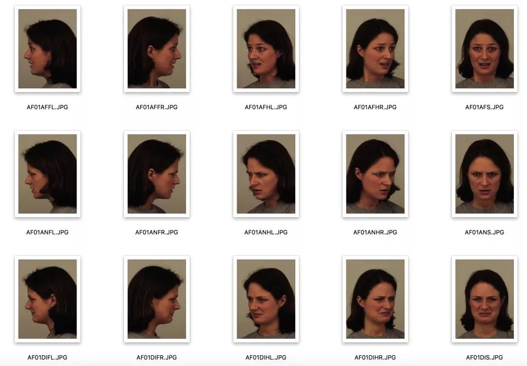 超两万字的最全人脸数据集介绍汇总，从人脸检测到人脸风格化