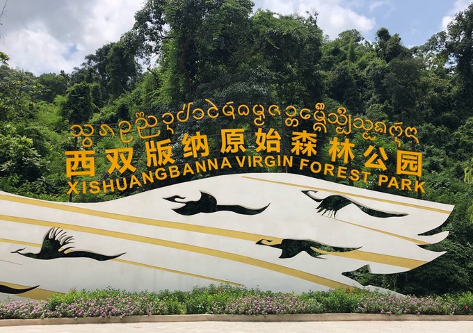 博悦旅游,云南西双版纳博悦