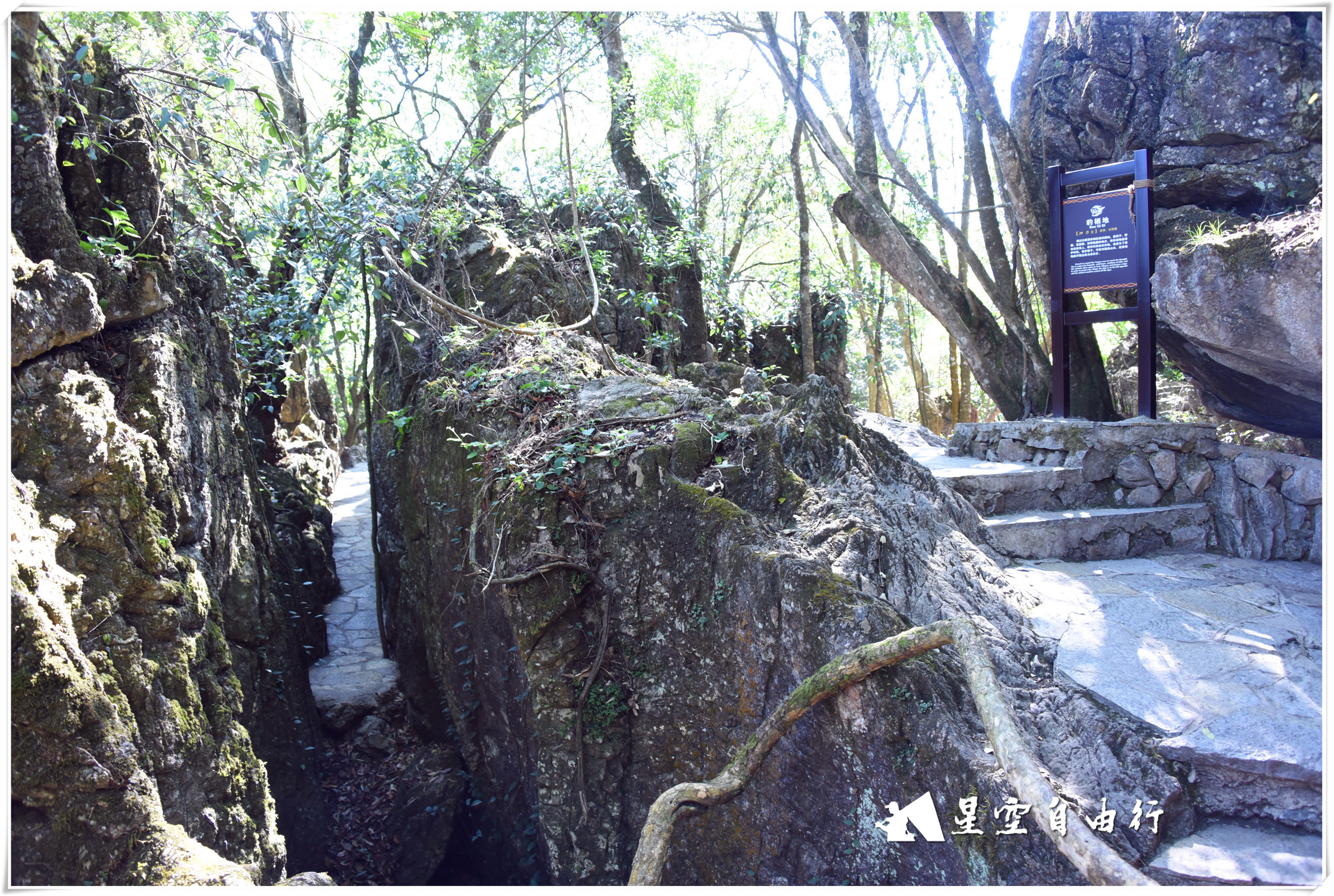 阿细跳月景点介绍,弥勒第十一届阿细跳月民族节门票