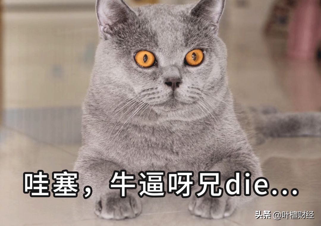 南昌楼市未来走势,一直被忽视逆势上扬