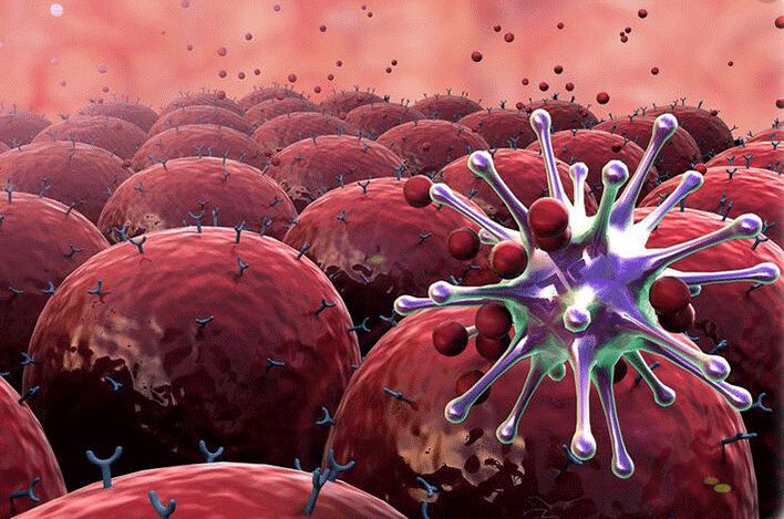 发霉食物对孩子有什么影响,儿童吃发霉食物的危害