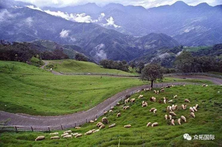 台湾清静农场在哪里,台湾桃园观光农场在哪里