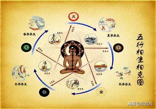 论中医养生文化,论中医药