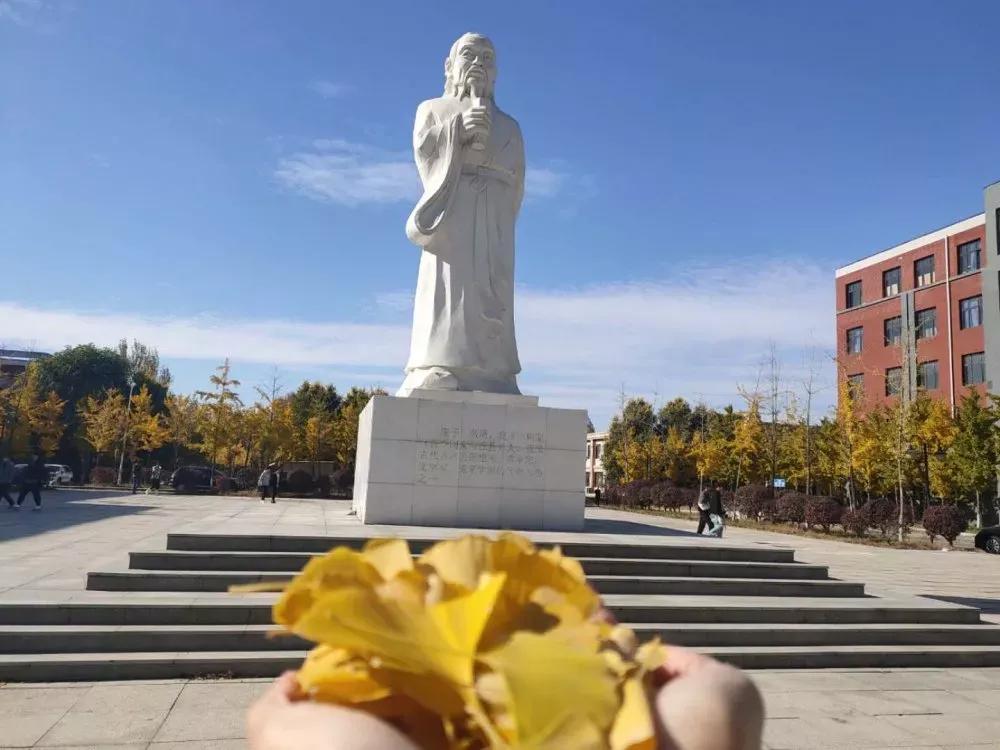 辽宁中医药大学杏林学院规模,辽宁中医学院杏林学院的排名