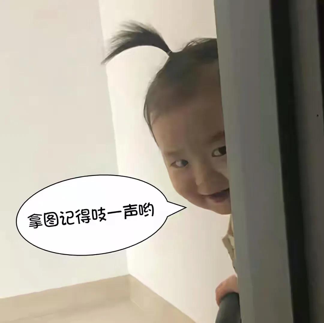 巴塞罗那熊4k壁纸,巴塞罗那熊高清手机壁纸