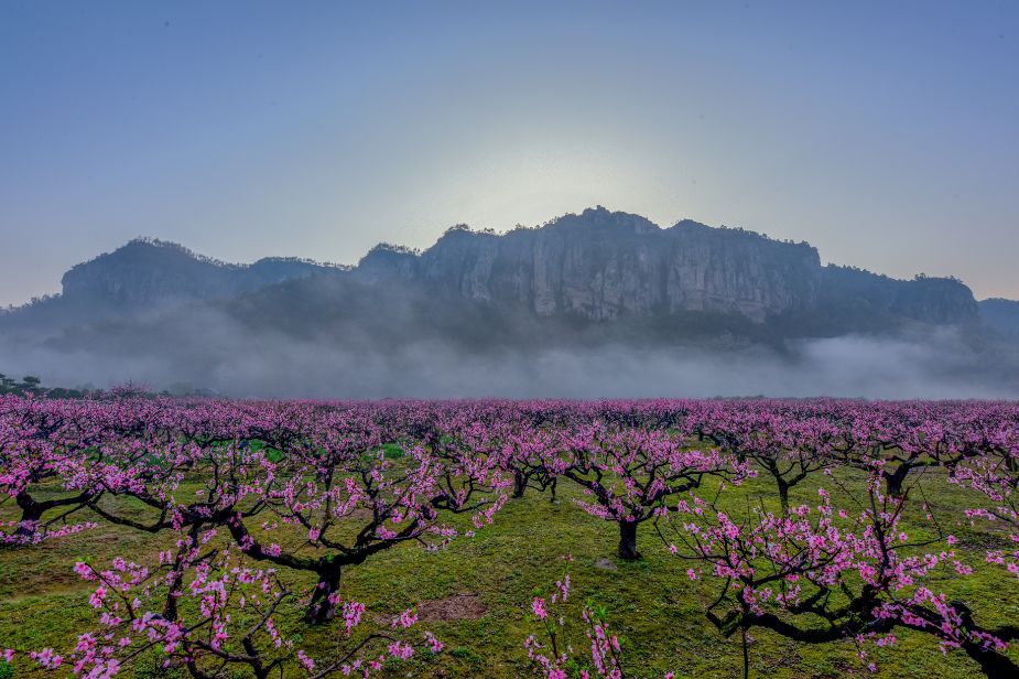 台州藏在深山里的世外桃源,台州家乡春天的美景