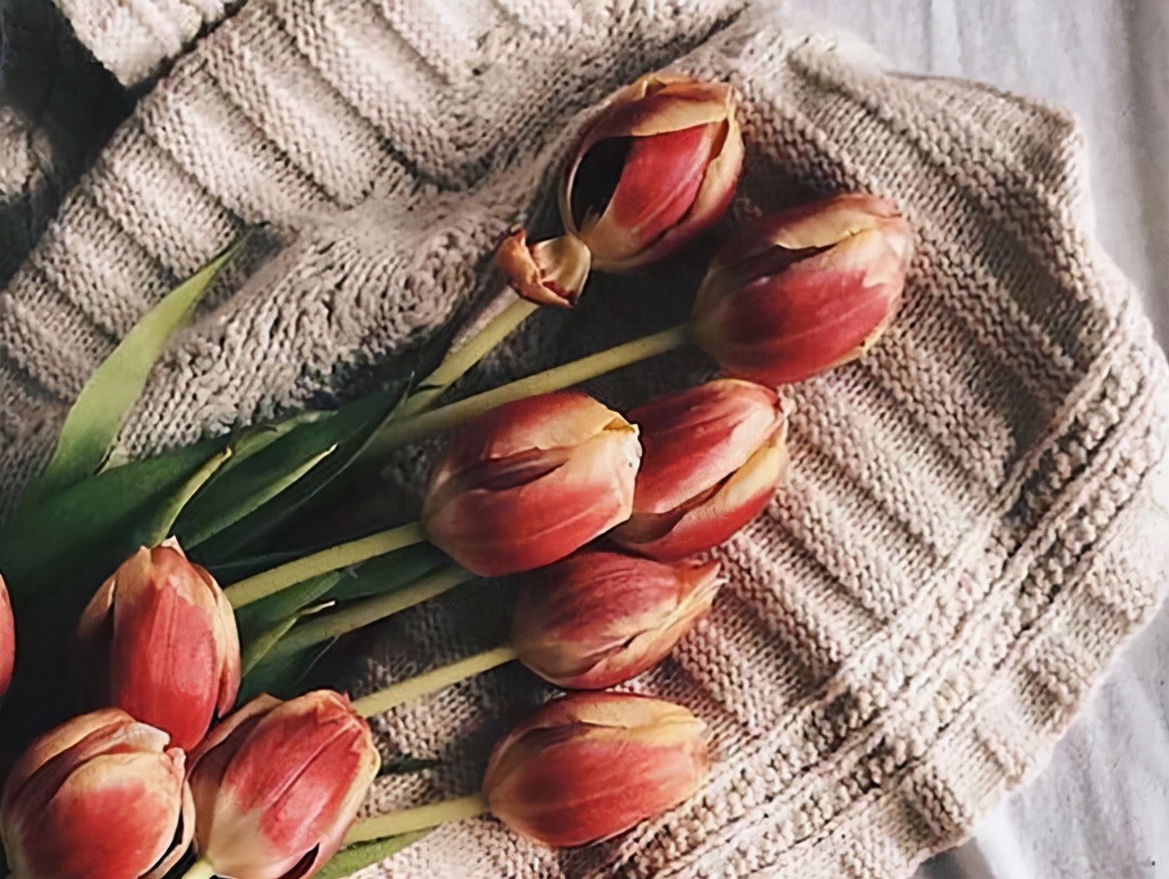 互相暗恋的两个人，会有这些“心有灵犀”