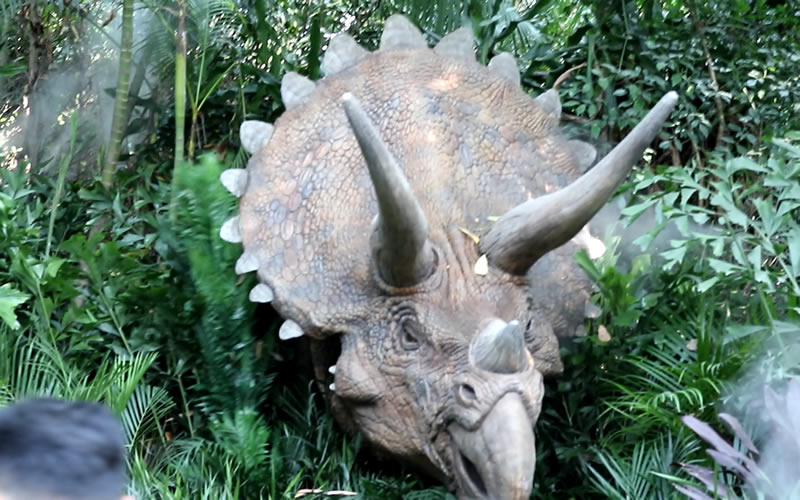 广州一日游长隆野生动物园日记,广州长隆野生动物世界参观指南