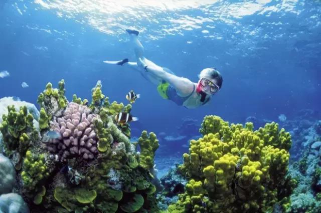 全球惊艳的10个海底世界，看到第一个就想出发！