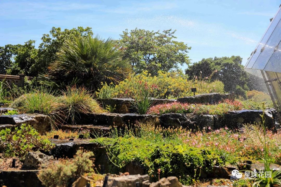 二木带你游花园|邱园（kewgarden）离我们到底有多远？