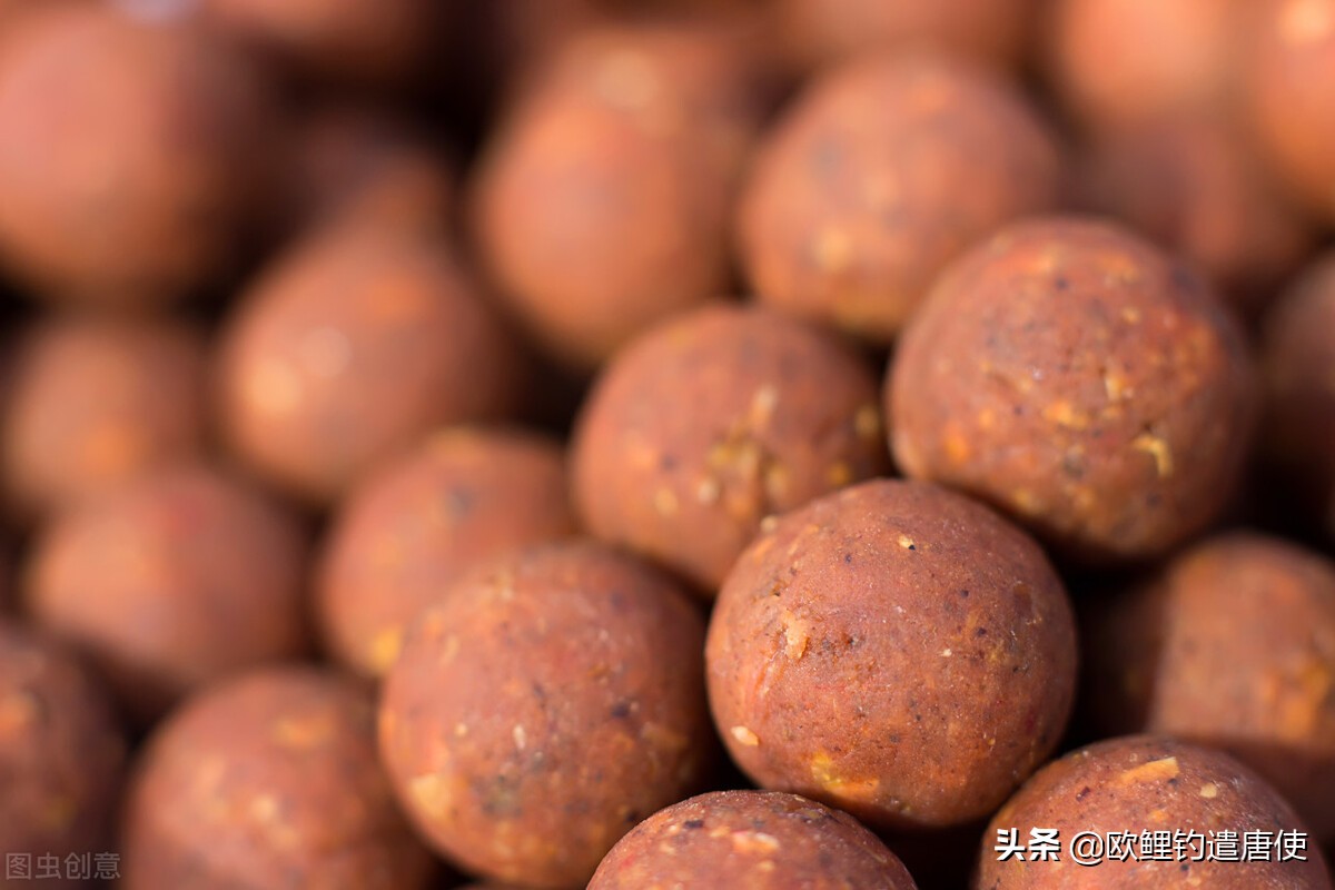 欧洲疫情催生钓鱼热？名企推新手套装钓大鲤鱼