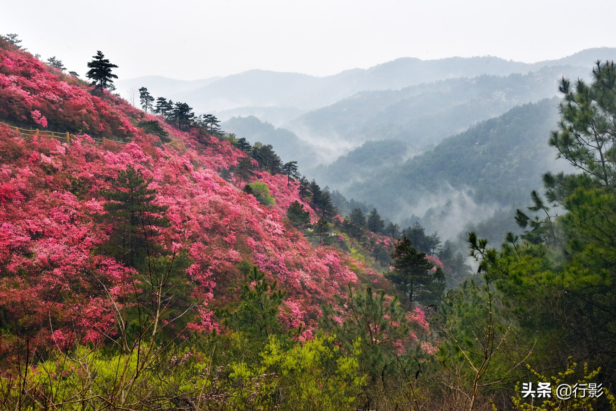 云雾山武汉,武汉汉口北打卡网红景点