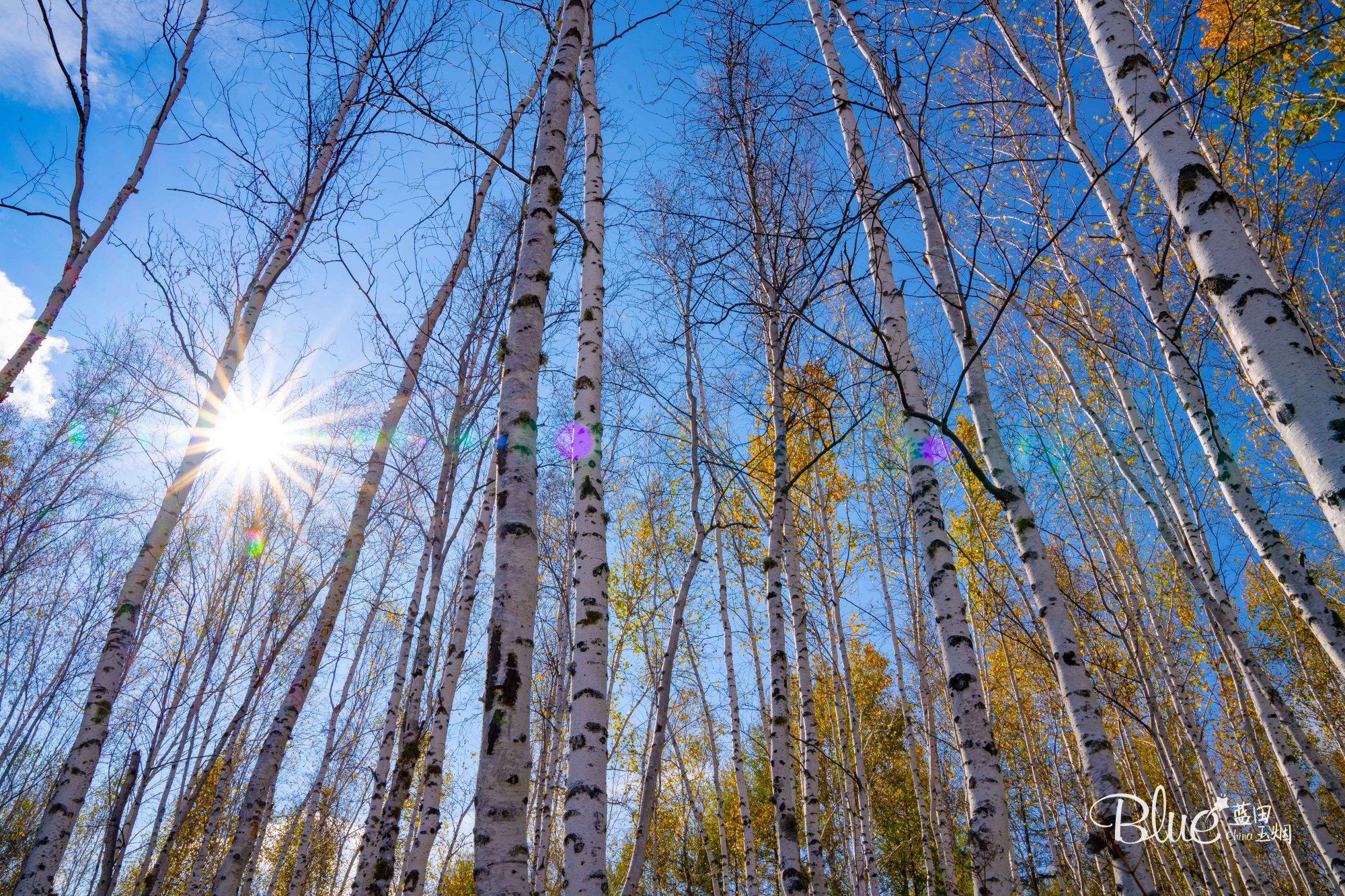 从漠河自驾到抚远镇,漠河至丹东自驾g331攻略