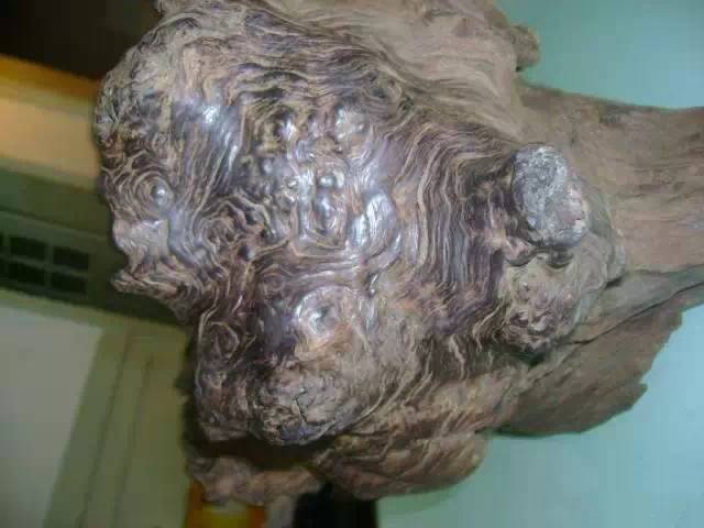 32种最硬的木材,家具木材硬度排行