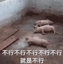 2021最火可爱壁纸海绵宝宝,壁纸手机可爱海绵宝宝